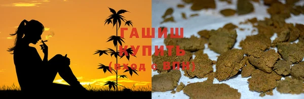 прущие грибы Арсеньев